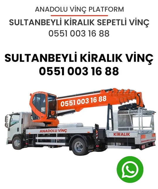Sultanbeyli kiralık vinç görseli